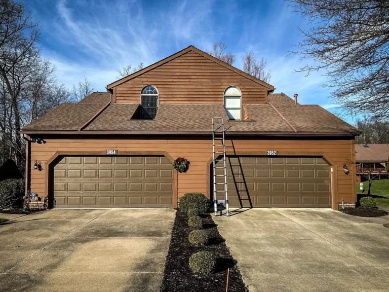 New roof goals for 2025 - maintenance on a garage roof.