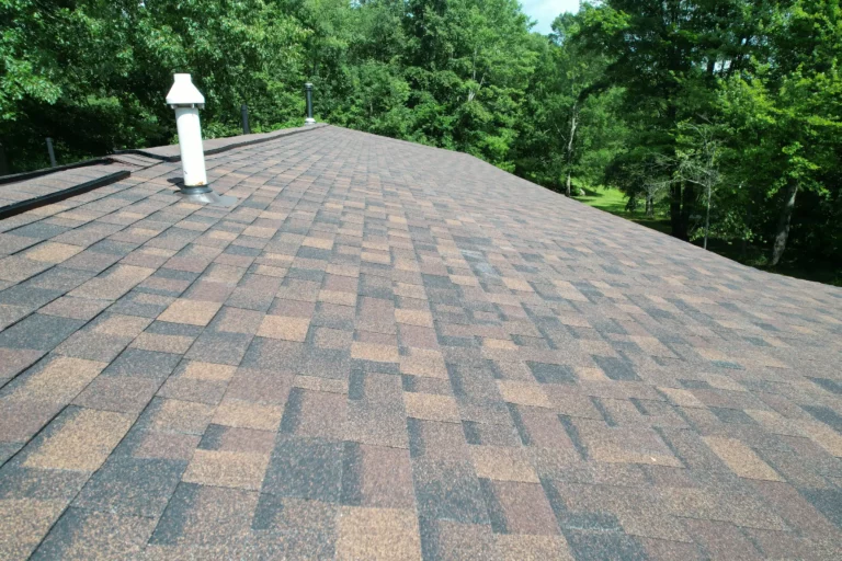 shingle roof