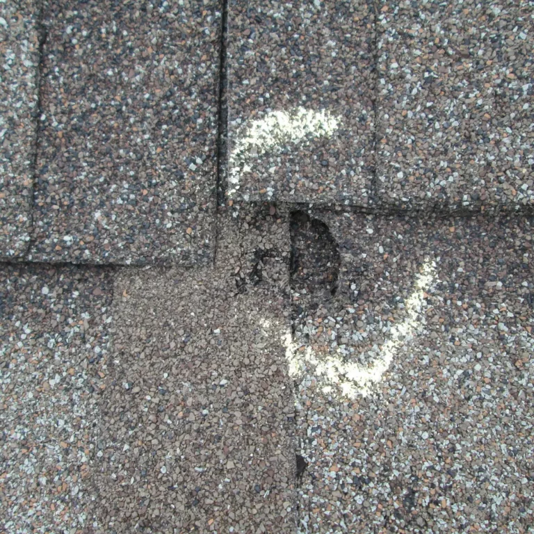 damage to shingle roof
